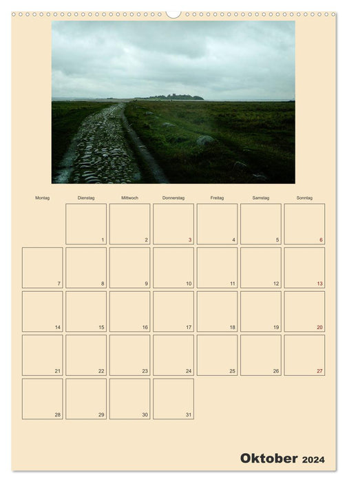 Move on! / Planner (CALVENDO Premium Wall Calendar 2024) 