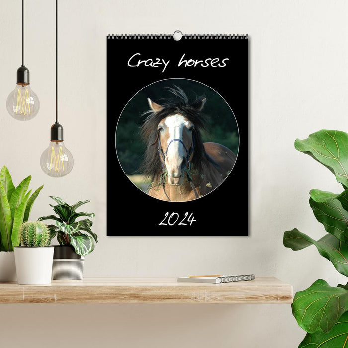 Crazy horses (CALVENDO Wandkalender 2024)