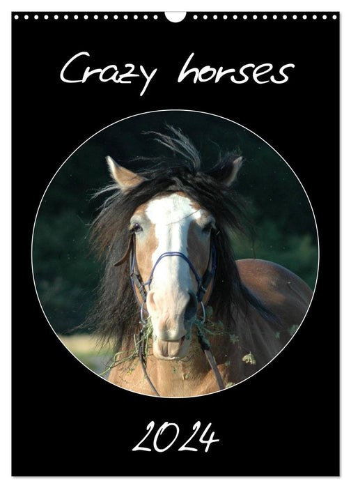 Crazy horses (CALVENDO wall calendar 2024) 