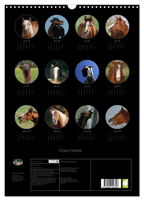 Crazy horses (CALVENDO wall calendar 2024) 