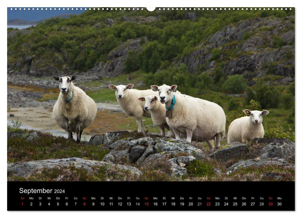 Norvège - Fascination du Nord (Calendrier mural CALVENDO 2024) 