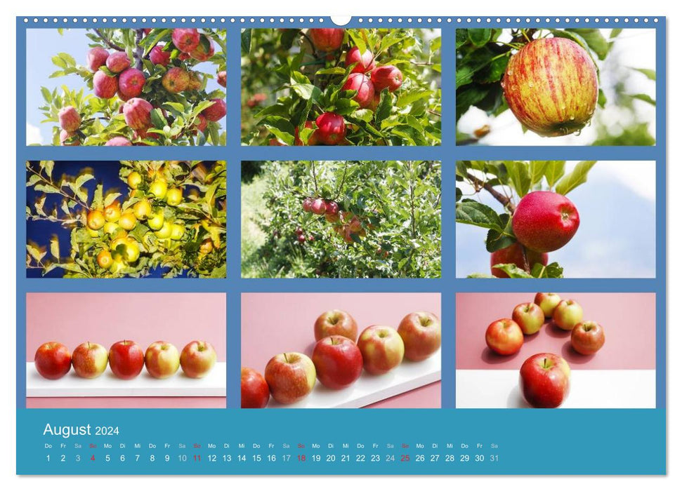 Food (CALVENDO Premium Wandkalender 2024)