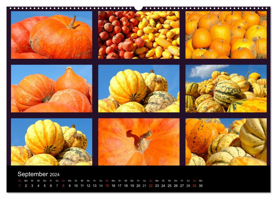 Food (CALVENDO Premium Wandkalender 2024)