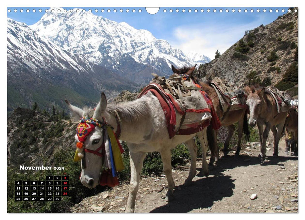 Népal 2024 personnages, montagnes et dieux entre Annapurna et Marsyangdi (calendrier mural CALVENDO 2024) 