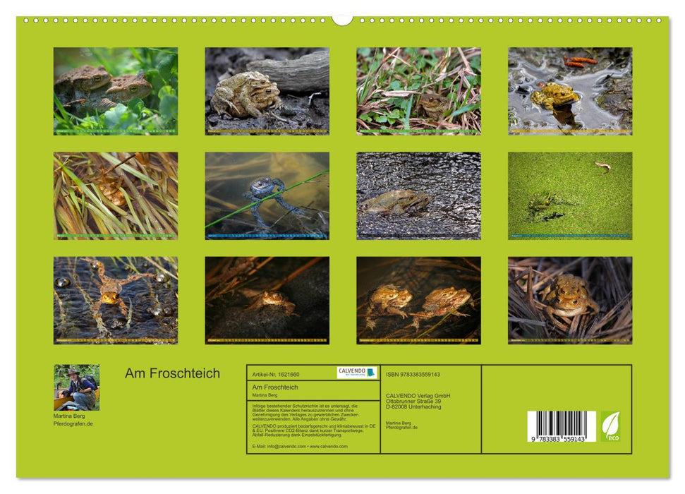 Am Froschteich (CALVENDO Premium Wandkalender 2024)