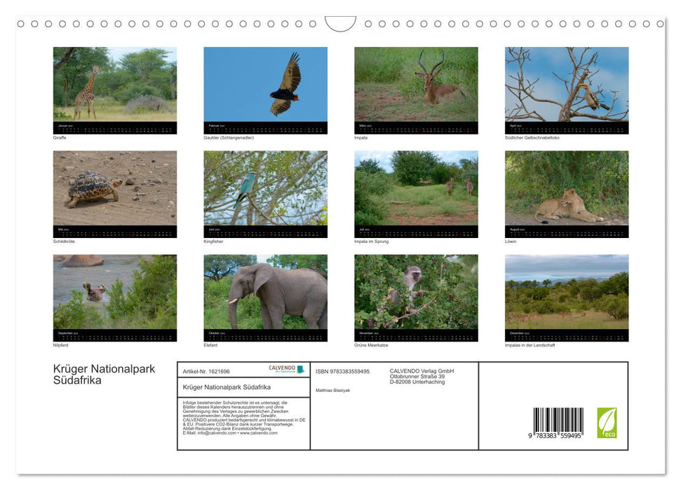 Krüger Nationalpark - Kalender 2024 (CALVENDO Wandkalender 2024)
