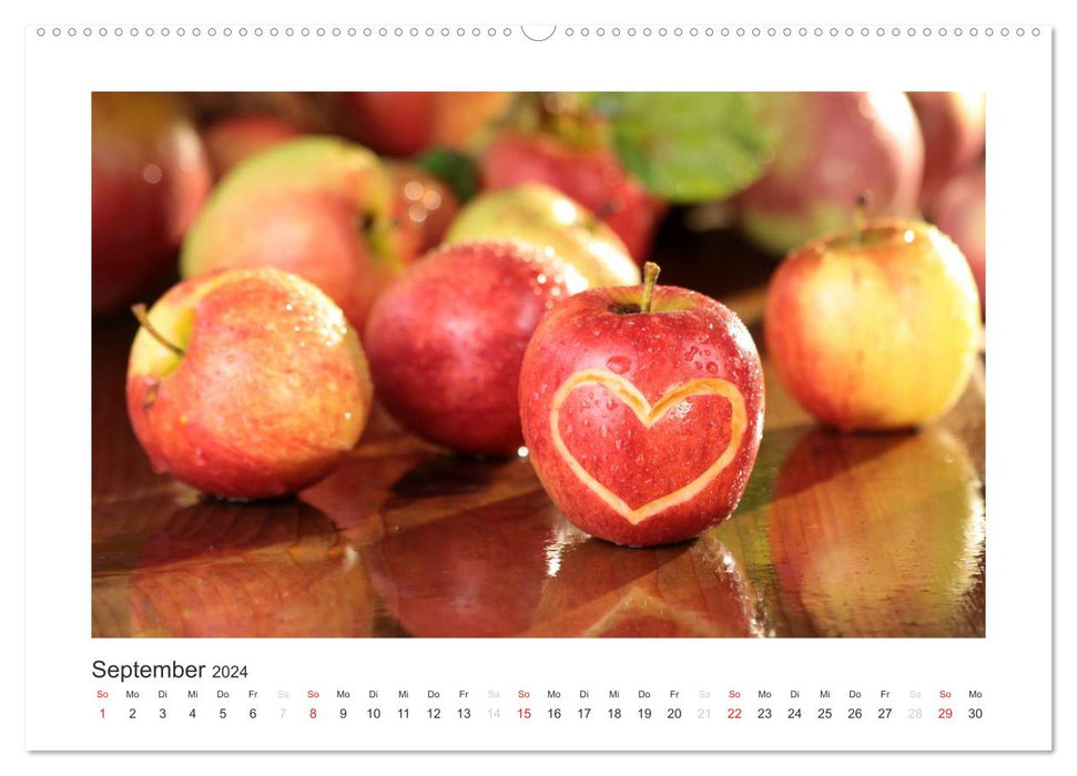 Mein Herz für Dich (CALVENDO Premium Wandkalender 2024)
