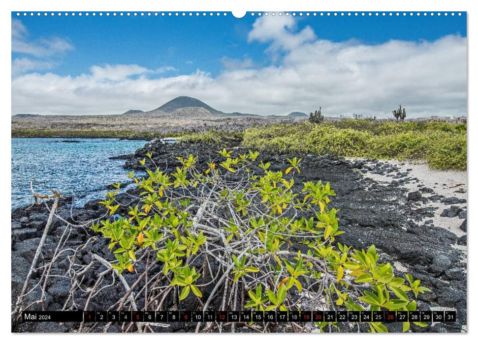 Galapagos (CALVENDO Premium Wandkalender 2024)