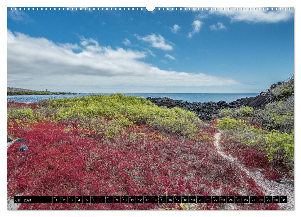 Galapagos (CALVENDO Premium Wandkalender 2024)