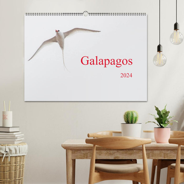 Galapagos (CALVENDO Wandkalender 2024)