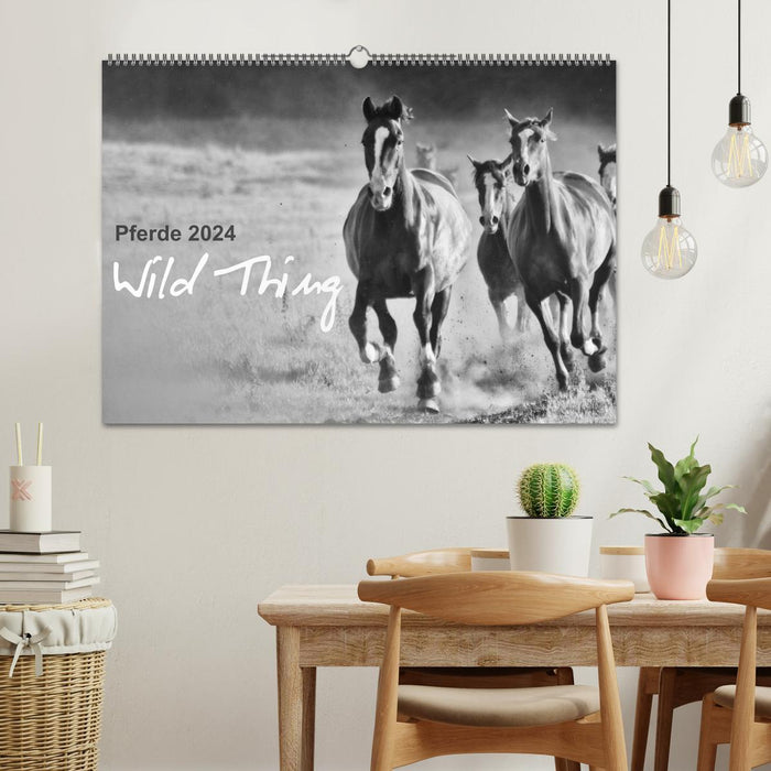 Pferde 2024 Wild Thing (CALVENDO Wandkalender 2024)