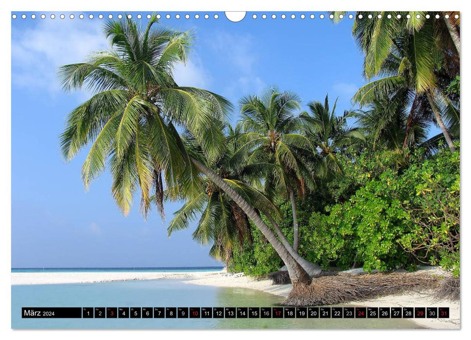 Maldives - îles de rêve dans l'océan Indien (calendrier mural CALVENDO 2024) 