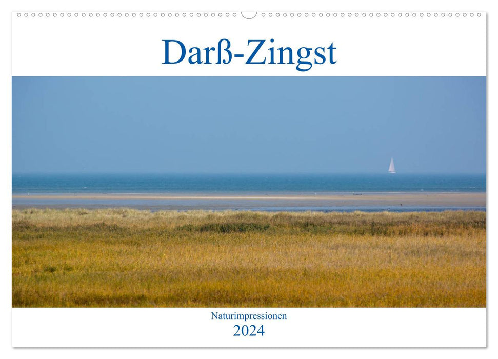 Impressions de la nature Darß-Zingst (calendrier mural CALVENDO 2024) 