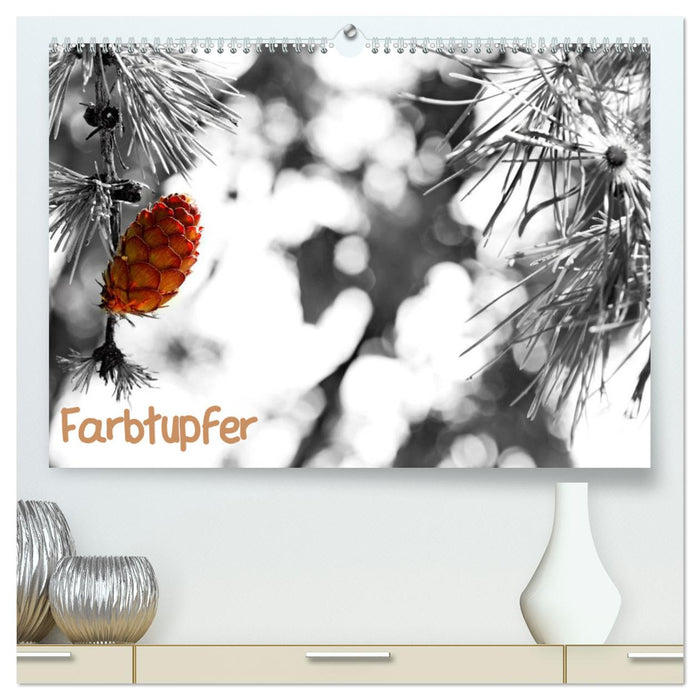 Farbtupfer (CALVENDO Premium Wandkalender 2024)