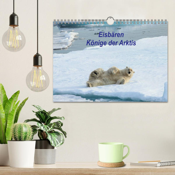 Ours polaires - rois de l'Arctique (calendrier mural CALVENDO 2024) 