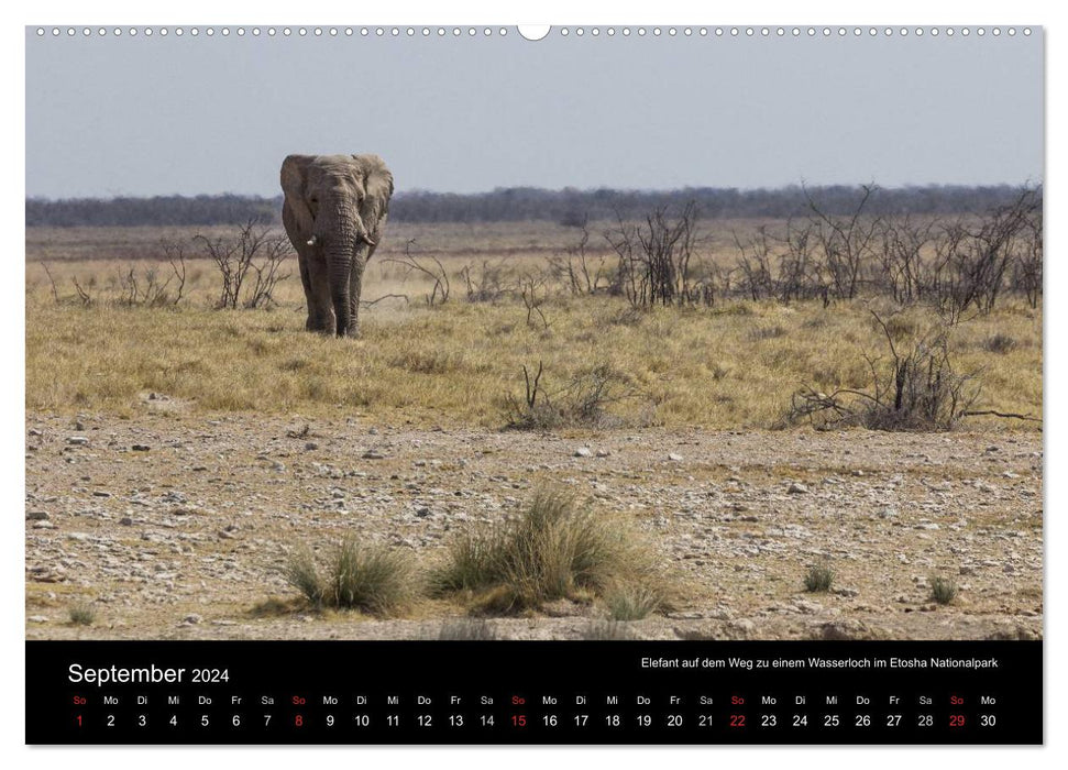 Wunderschönes Namibia (CALVENDO Premium Wandkalender 2024)