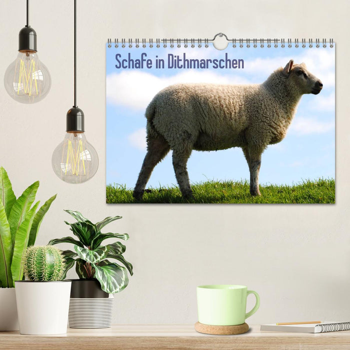 Moutons à Dithmarschen (calendrier mural CALVENDO 2024) 