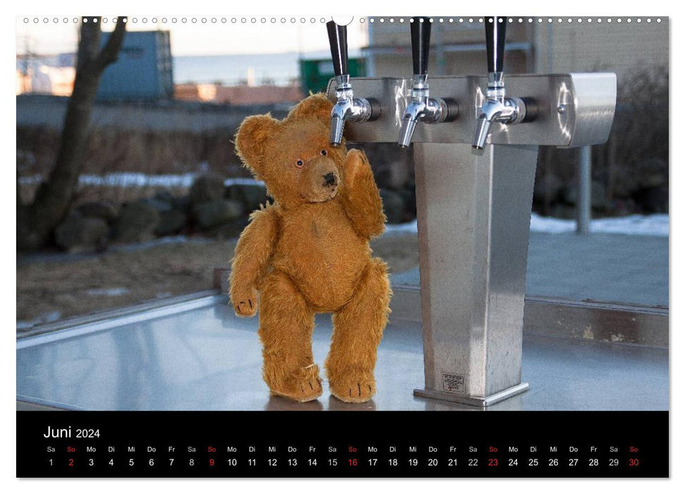 Teddy Basse (CALVENDO Wandkalender 2024)