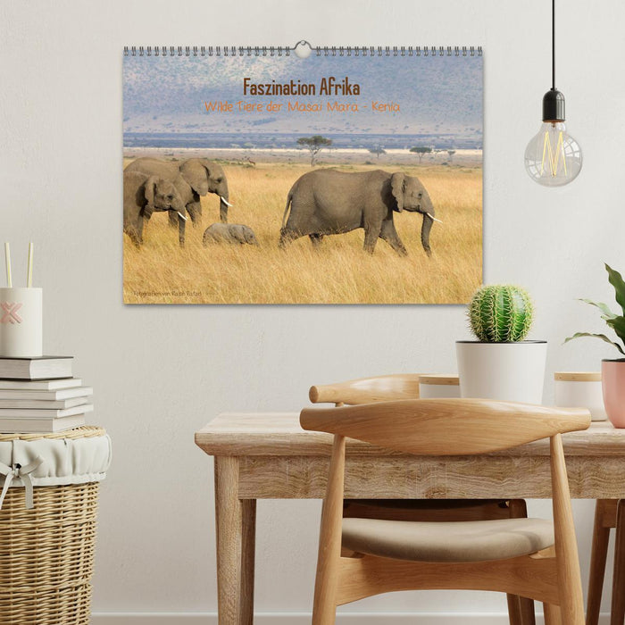 Faszination Afrika - wilde Tiere der Masai Mara - Kenia (CALVENDO Wandkalender 2024)