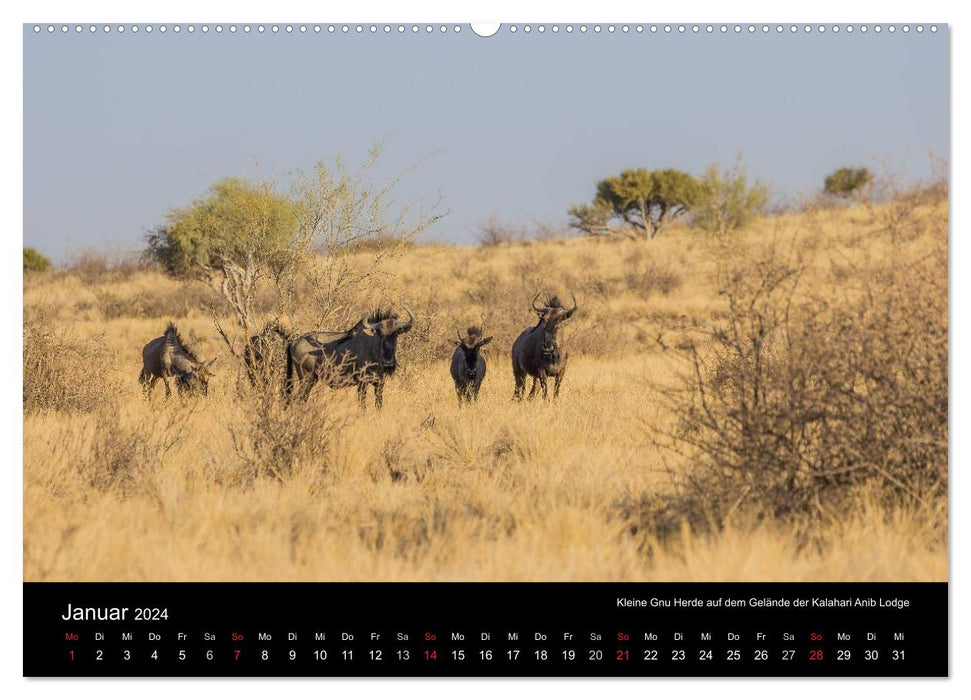 Wunderschönes Namibia (CALVENDO Wandkalender 2024)