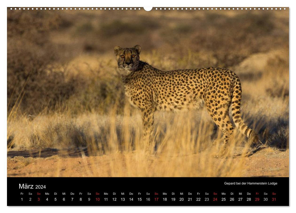 Wunderschönes Namibia (CALVENDO Wandkalender 2024)