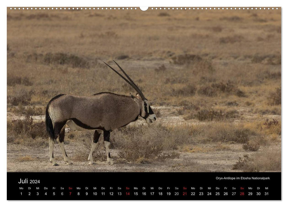 Wunderschönes Namibia (CALVENDO Wandkalender 2024)