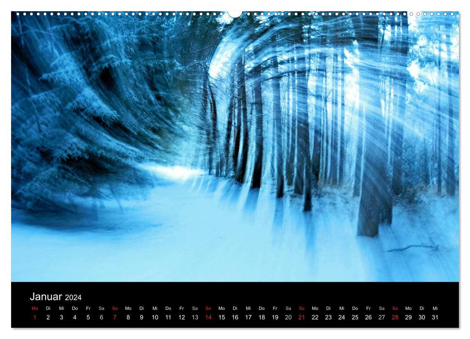 Magischer Wald (CALVENDO Premium Wandkalender 2024)