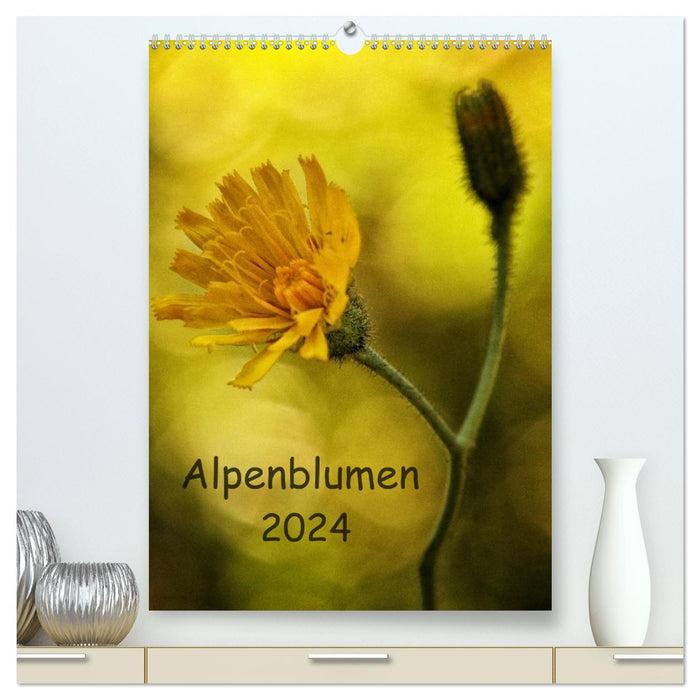 Fleurs alpines 2024 (Calendrier mural CALVENDO Premium 2024) 