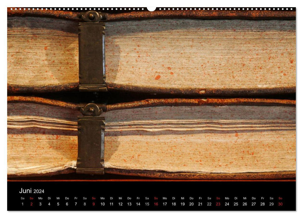 Monde des livres / version CH (calendrier mural CALVENDO 2024) 