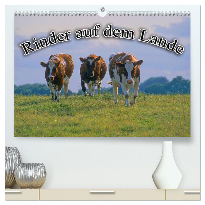Rinder auf dem Lande (CALVENDO Premium Wandkalender 2024)