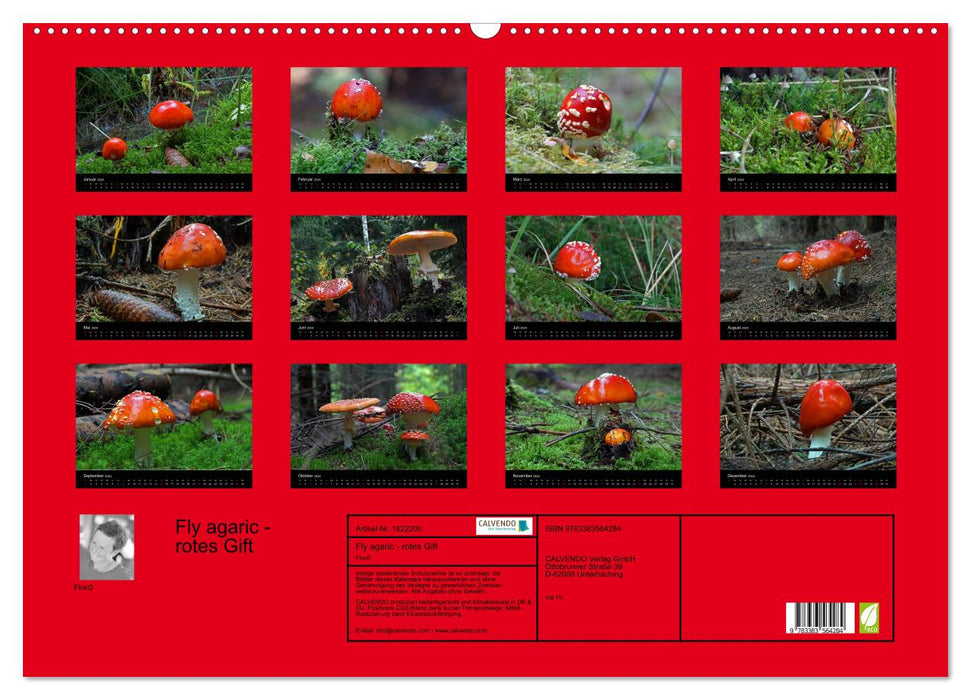 Amanite mouche - poison rouge (Calendrier mural CALVENDO 2024) 