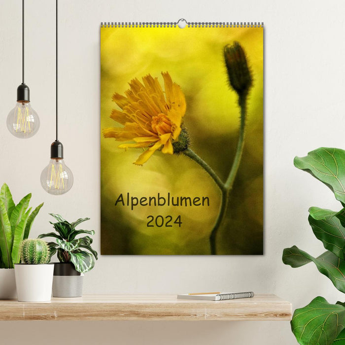 Fleurs alpines 2024 (Calendrier mural CALVENDO 2024) 