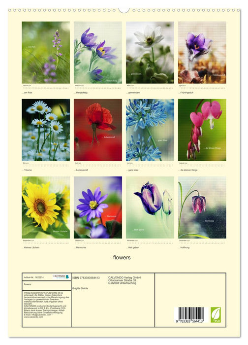 fleurs (Calendrier mural CALVENDO Premium 2024) 