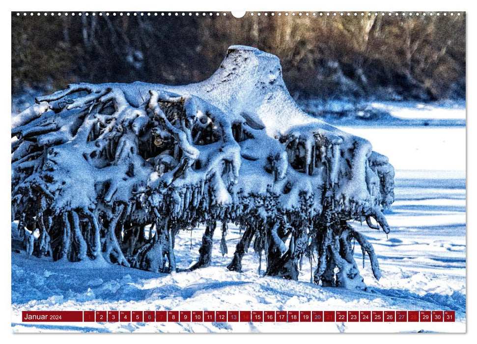 Magnifique baie de Wismar (Calvendo Premium Wall Calendar 2024) 