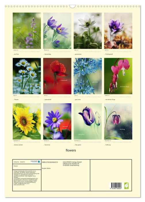 flowers (CALVENDO Wandkalender 2024)