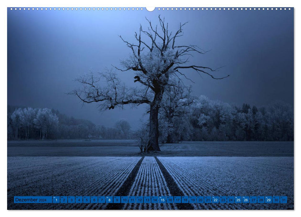 Bäume sind Träume (CALVENDO Premium Wandkalender 2024)