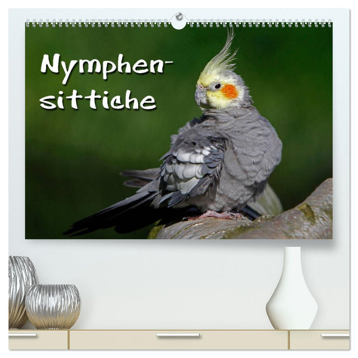 Nymphensittiche (CALVENDO Premium Wandkalender 2024)