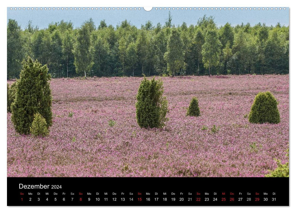 Lüneburger Heide (CALVENDO Premium Wandkalender 2024)