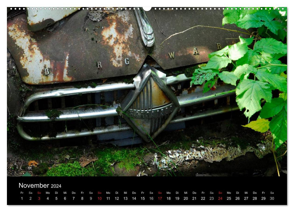 ROSTLAUBEN Die schönsten Autowracks (CALVENDO Premium Wandkalender 2024)
