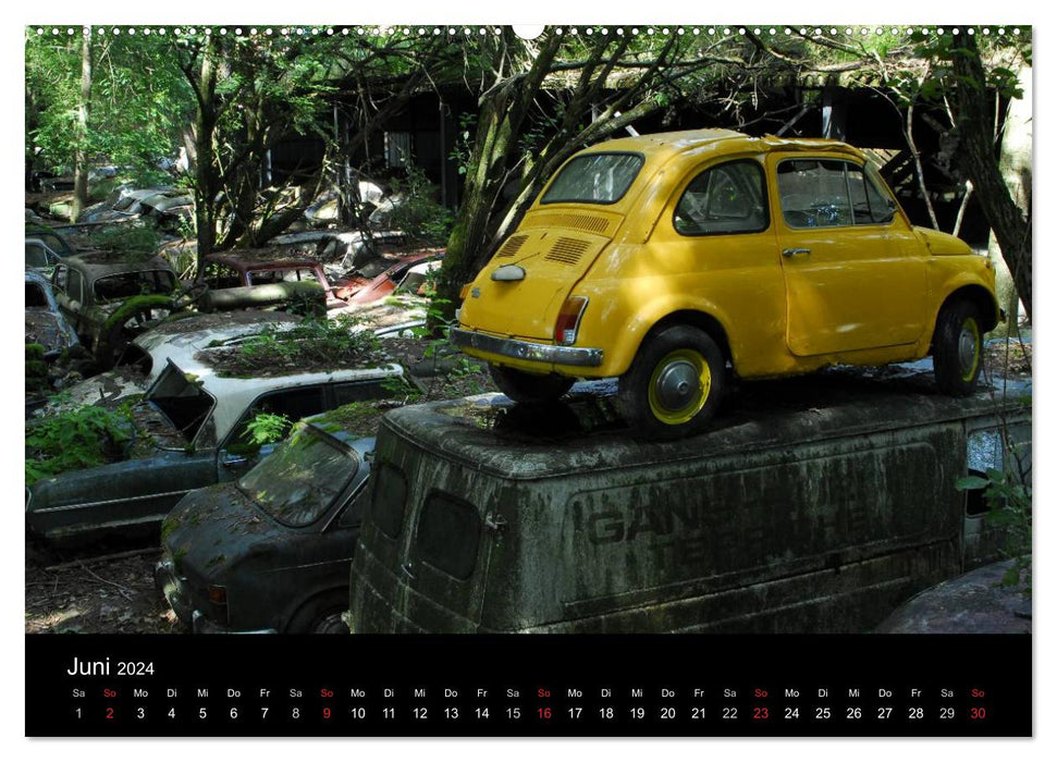 ROSTLAUBEN Die schönsten Autowracks (CALVENDO Premium Wandkalender 2024)