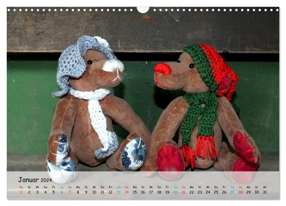 Wilde Bären - Teddybär-Porträts voller Charakter (CALVENDO Wandkalender 2024)