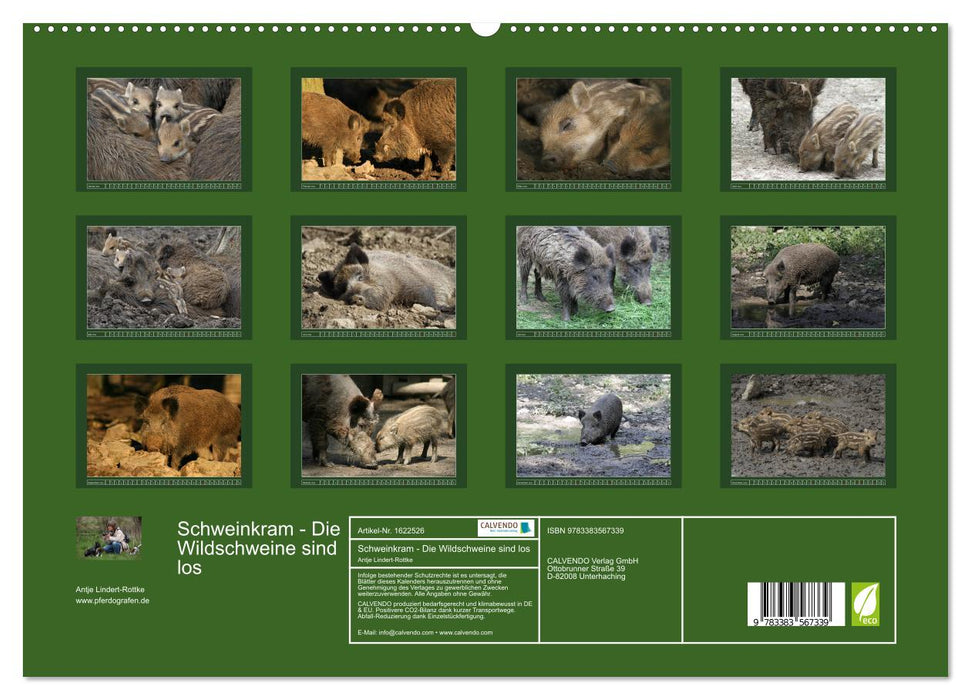 Schweinkram - Die Wildschweine sind los (CALVENDO Premium Wandkalender 2024)