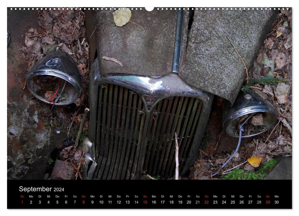 ROSTLAUBEN Die schönsten Autowracks (CALVENDO Wandkalender 2024)