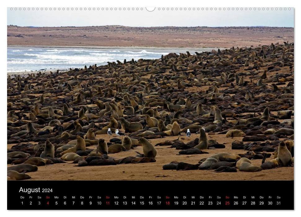 Namibia - Schöne Ansichten (CALVENDO Premium Wandkalender 2024)