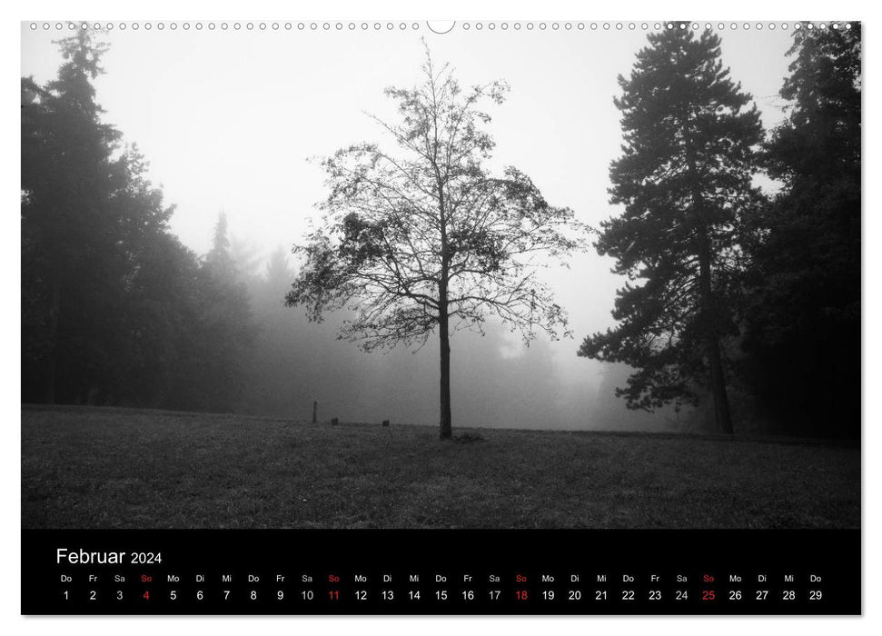 Bäume trees 2024 (CALVENDO Premium Wandkalender 2024)