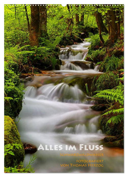 Alles im Fluss - Schwarzwaldwasser (CALVENDO Wandkalender 2024)
