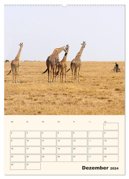 Kenia – Terminplaner (CALVENDO Premium Wandkalender 2024)