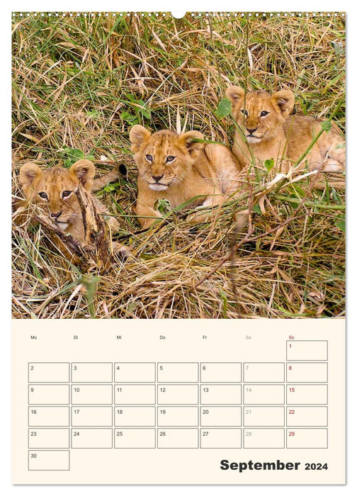 Kenia – Terminplaner (CALVENDO Premium Wandkalender 2024)