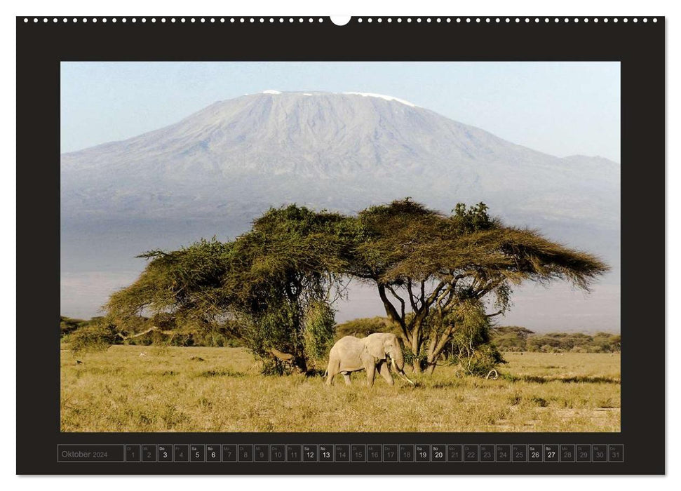 Kenia (CALVENDO Premium Wandkalender 2024)