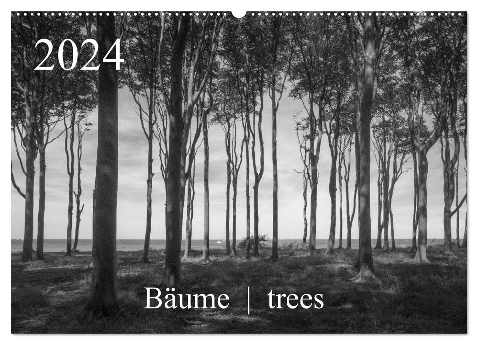 Bäume trees 2024 (CALVENDO Wandkalender 2024)